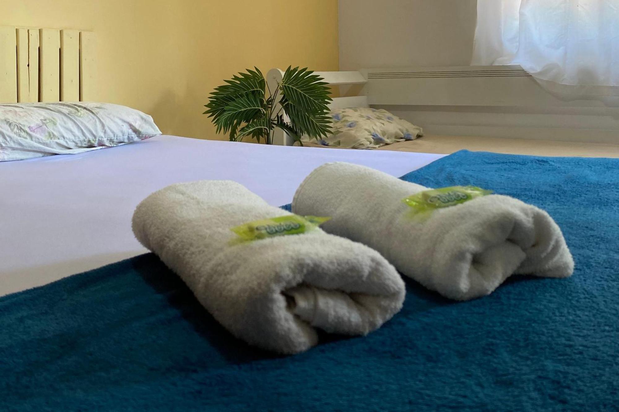Rio Surf House E Hostel Rio de Janeiro