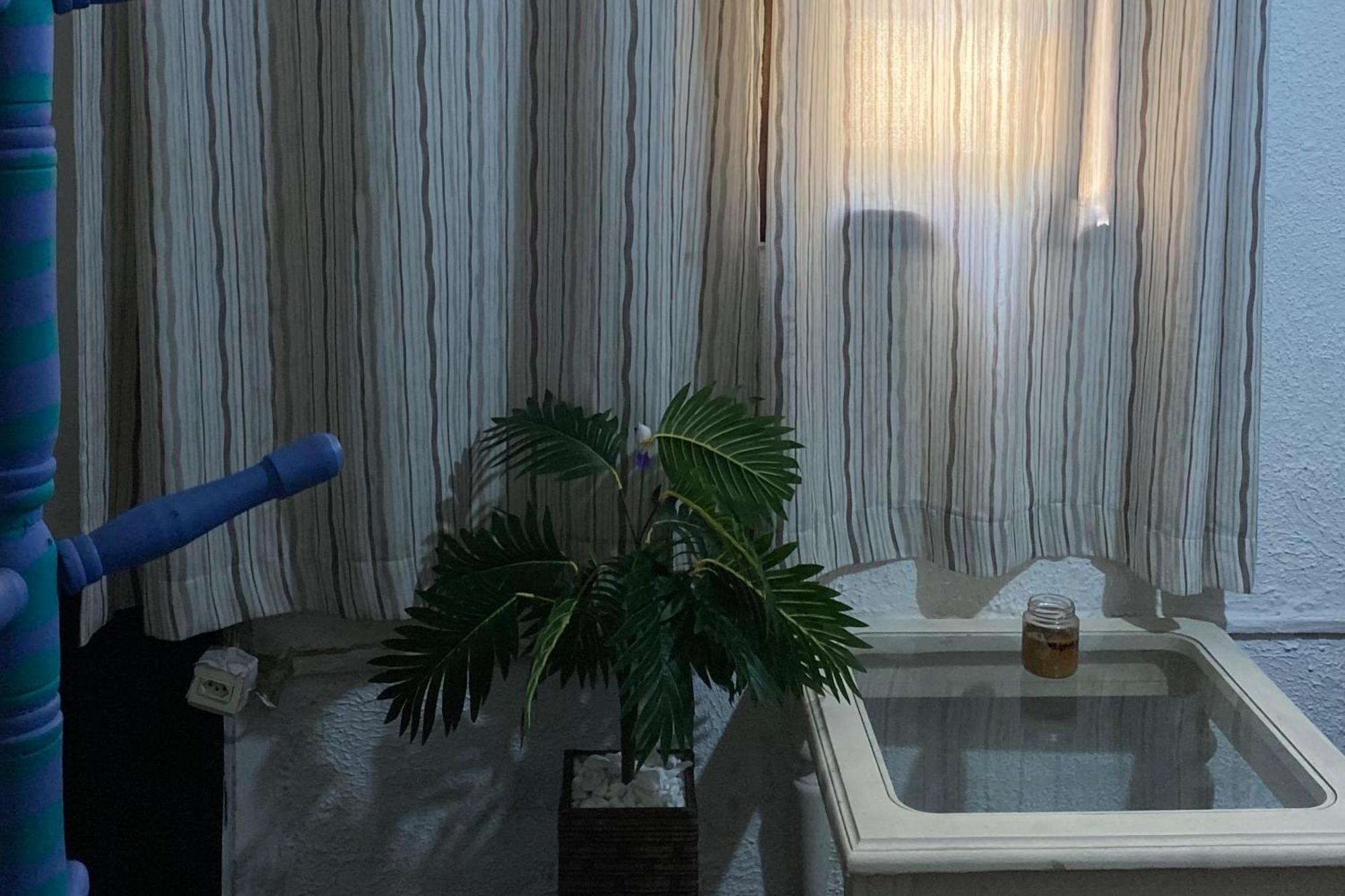 Rio Surf House E Ostello *